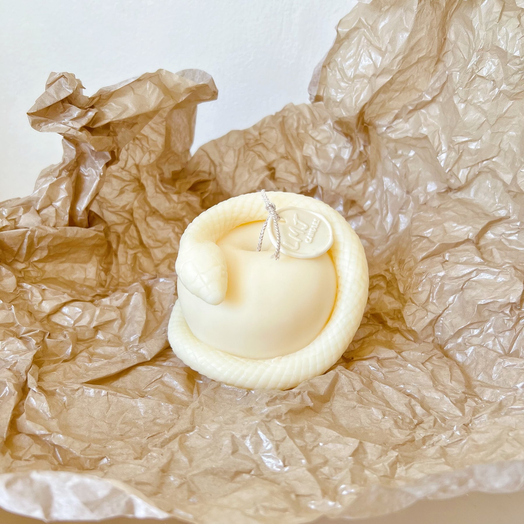 Snake Apple Scented Soy Candle, Animal Candle - LMJ Candles