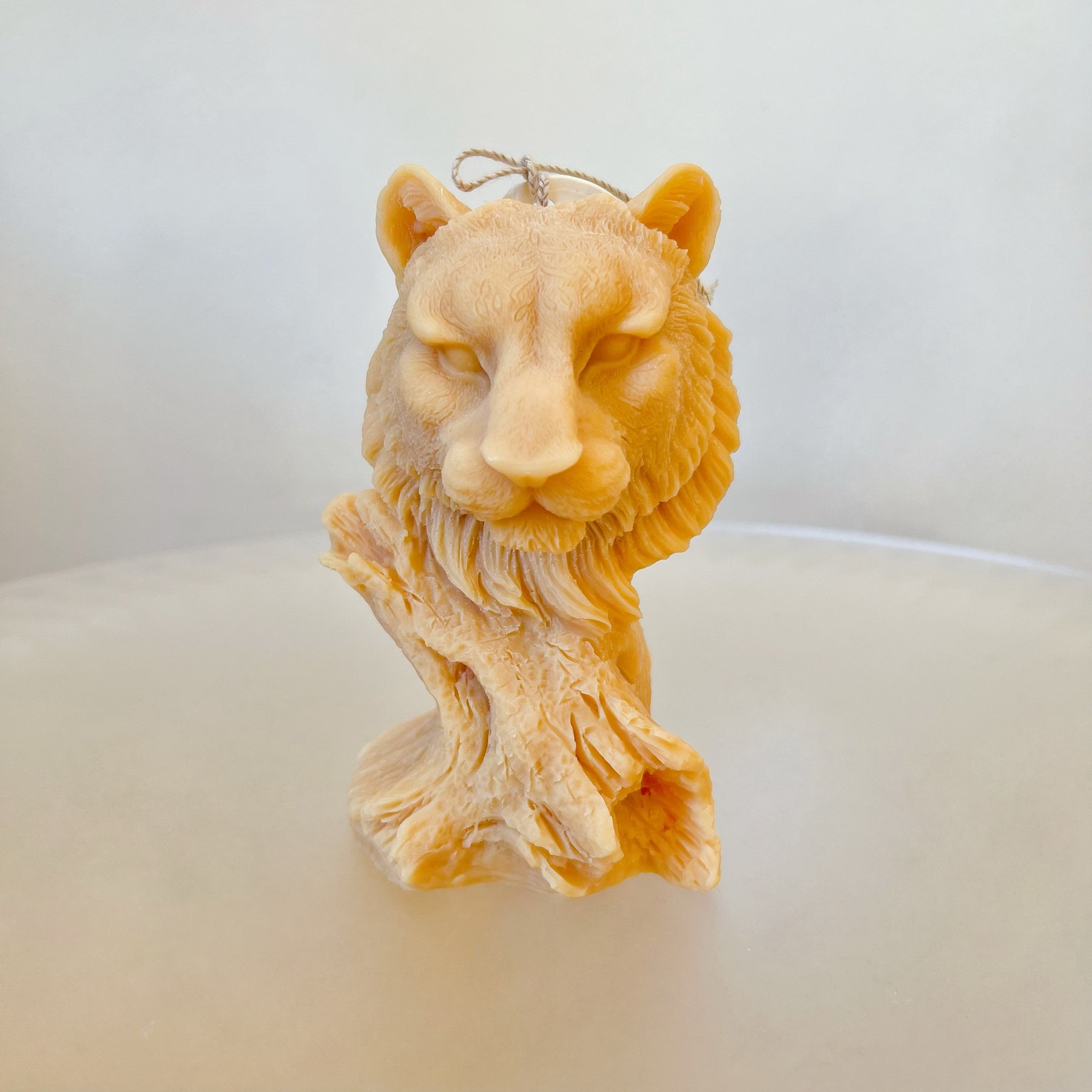 Lion Head Scented Soy Candle, Handmade Animal Candle, LMJ Candles