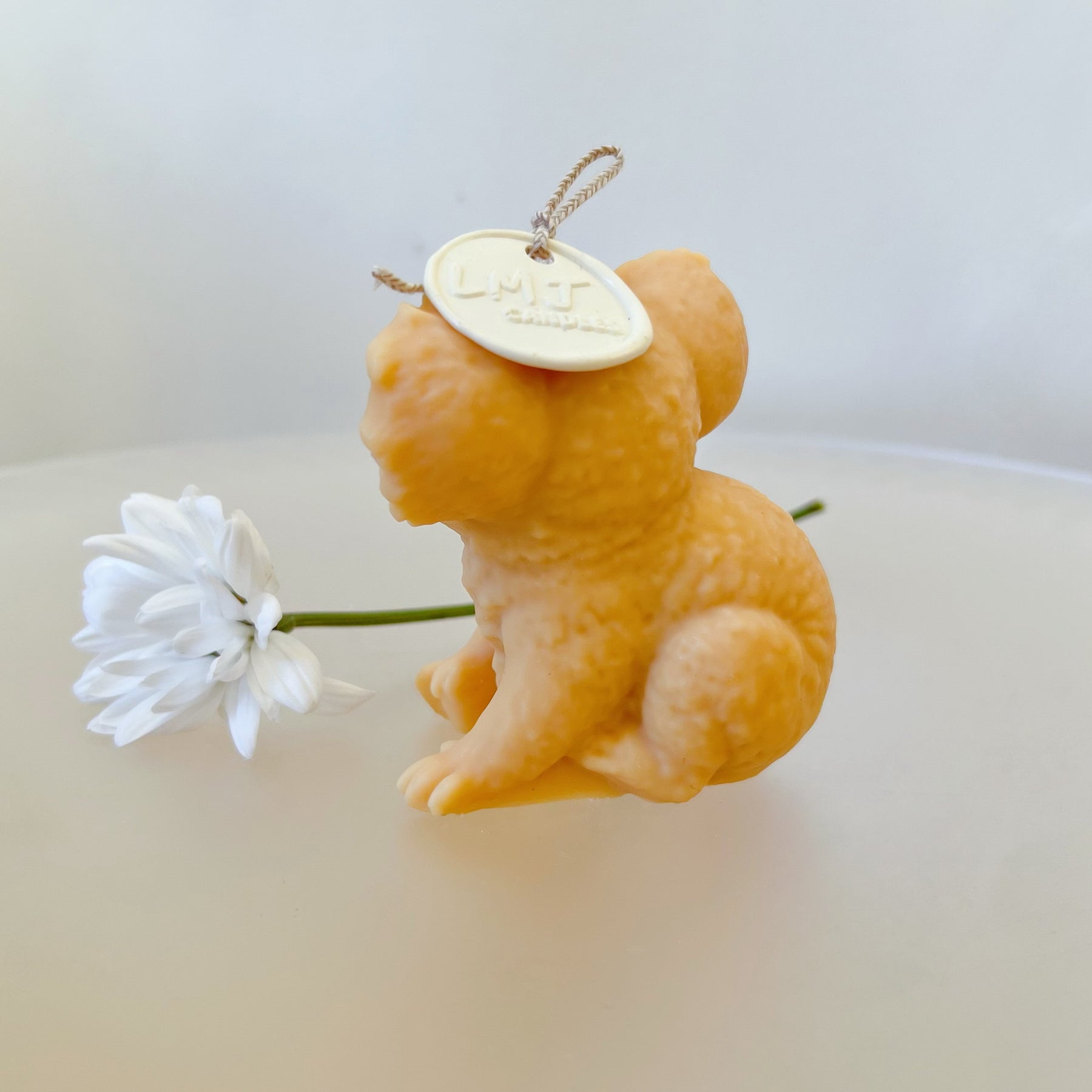 Koala Scented Soy Candle, Australian Handmade Candle, LMJ Candles