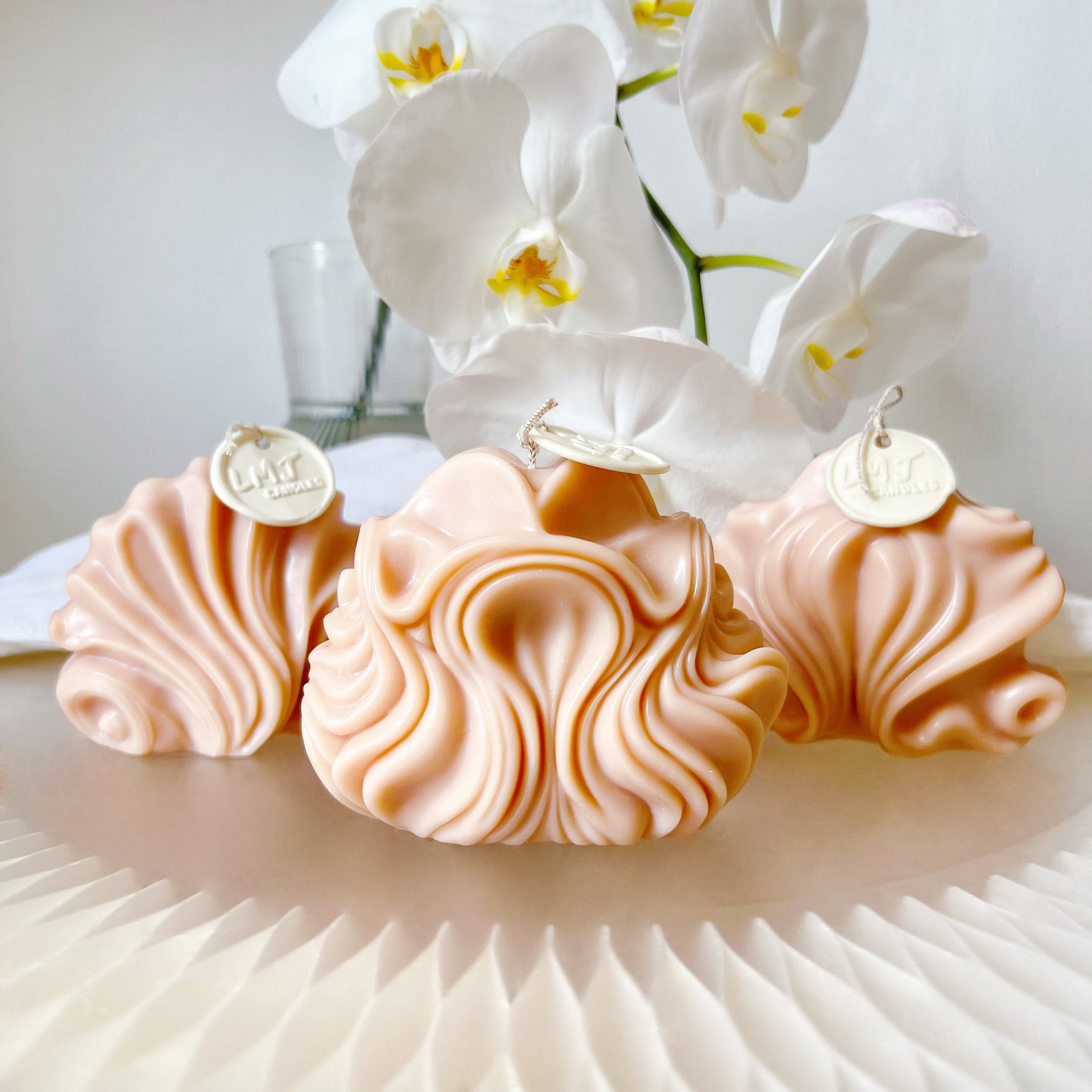 Wave Shell Scented Soy Candle, Unique Home Décor, LMJ Candles