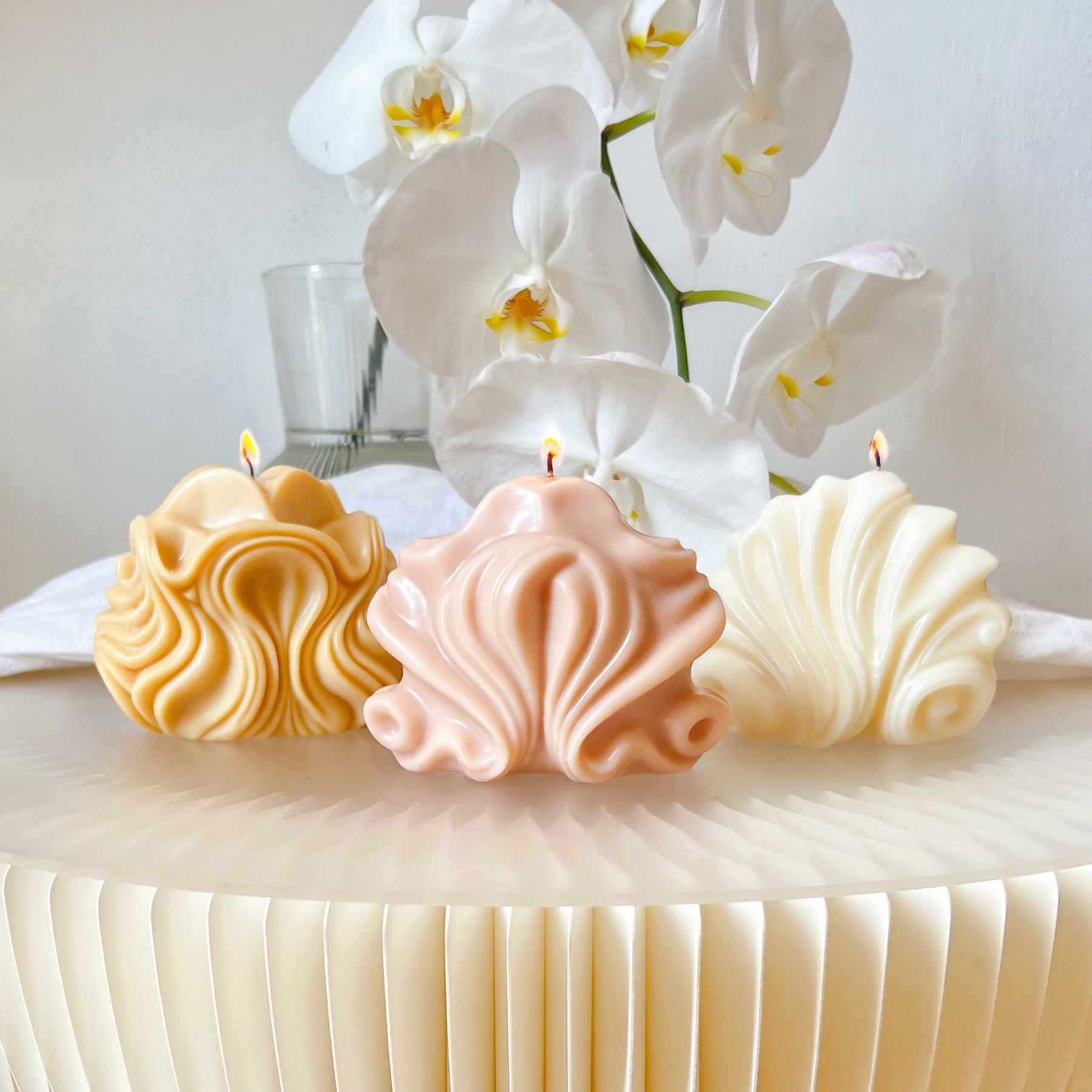 Wave Shell Scented Soy Candle, Unique Home Décor, LMJ Candles