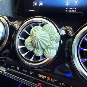 Bloom Succulent Air Freshener - Car Vent Clip | LMJ Candles