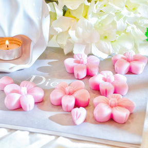 Six cherry blossom soy wax melts by LMJ Candles, beautifully presented on a ceramic warmer beside their eco-friendly cardboard box, highlighting their floral fragrance and vegan qualities.